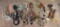 Lot of Costume Jewelry