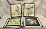Vintage Bird Prints