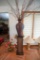 Fern Stand w/Urn