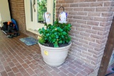 Large Planter with Live Plant & Welcome Mat
