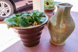 Ceramic Jug and Planter with Live Plant