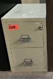 2-drawer letter fire file; beige; measures 18