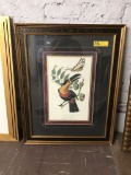 framed art print - toucan; 24.5