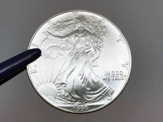 1995 Silver Eagle dollar, uncirculated. Due to increased fraud activity, any coin/jewelry purchase t