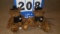 (2)COLT TEDDY BEARS (NATHAN ASI 62960)
