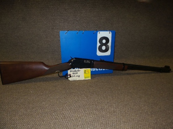 Winchester 94-22 22mag