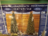 12' CHRISTMAS TREE IN BOX