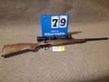Winchester Mod 670 30-06