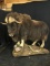Musk OX Full Body Taxidermy Mount
