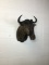 Blue wildebeest Taxidermy Mount