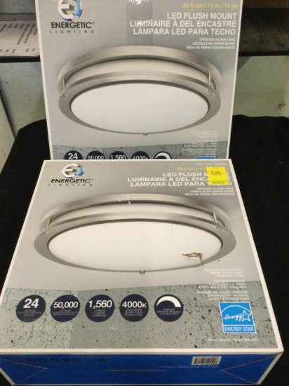 2 Energetic Flush Mount LED light