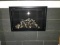 Mendota Hearth FV-34 with logs Gas Fireplace