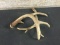 2 deer sheds