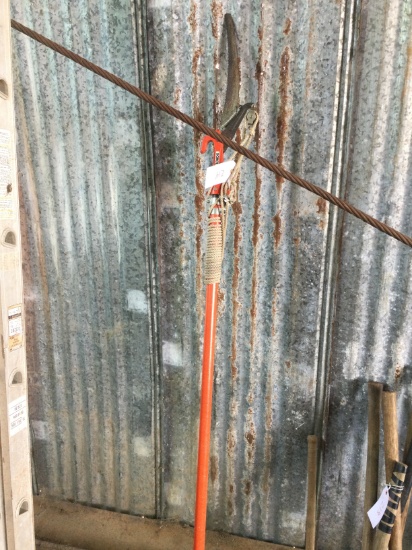 Polesaw