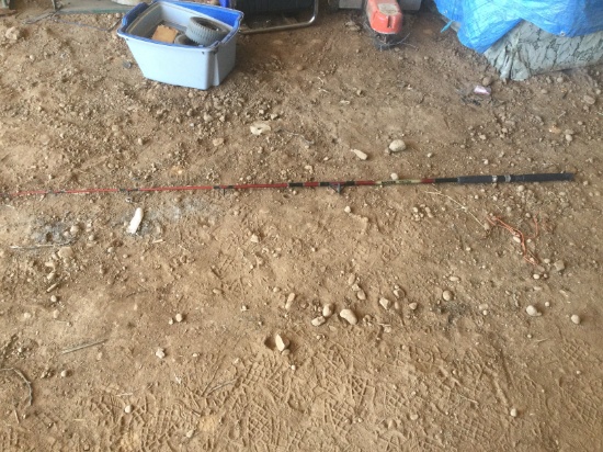 Master Spectra 9ft Rod, No reel