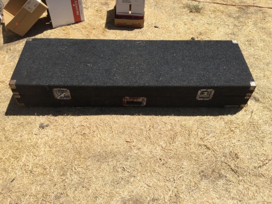 Large Travel case with locks