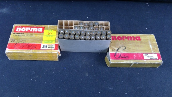 20 Norma .308norma mag + 11 Brass