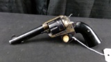 Ruger Vaquero with Bisley Grips .45