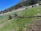 Hand line irrigation, trailer
