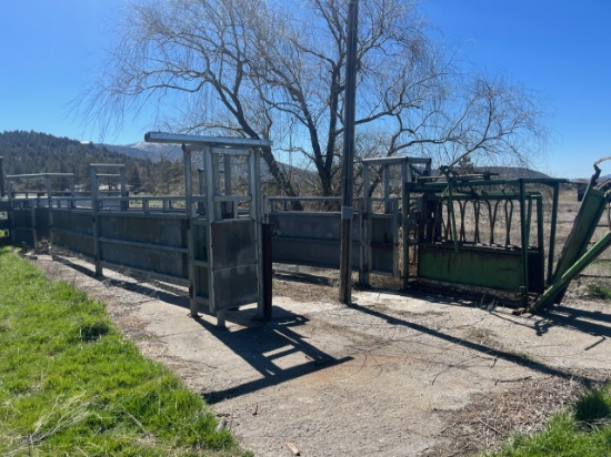 Cattle chute and lead up