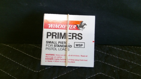 300 Winchester WSP