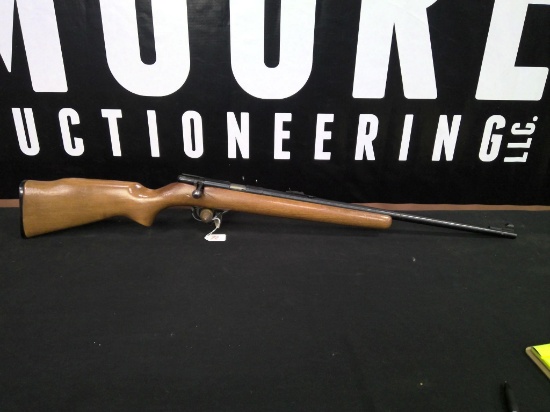 Armscor M14P 22lr