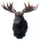 Moose Mount