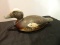 Rare #3 Mason Wigeon Drake Decoy