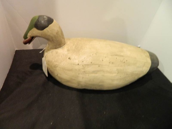 Rare Oversize Scooter Drake Decoy With Mussel