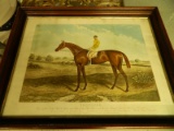 Folio Of Racing Horse