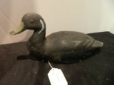 Rare French Canadian Pintail Drake Decoy