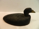 Decoy - America Scoter