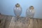 Whale Oil Lamps