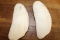 Whale Teeth