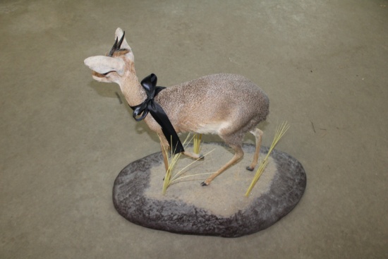 Mount
