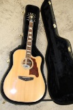 D'angelico Guitar