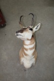 Mount