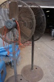 Two Pedestal Fans