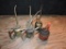 5 Antique Oil cans Lot