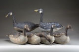 GROUP OF 6 CANADA GOOSE FIELD DECOYS.