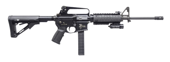 STAG ARMS STAG 15 SEMI AUTO RIFLE.