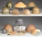 GROUPING OF MILITARY HELMETS & MILITARIA.