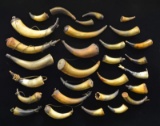 LARGE GROUP OF 18TH & 19TH CENTURY POWDER HORNS,