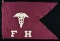 WW1 US ARMY FIELD HOSPITAL GUIDON.