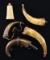 4 EARLY POWDER HORNS & A POWDER FLASK.