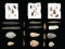 LARGE GROUP OF NATIVE AMERICAN ARROW HEADS.