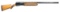 BROWNING AUTO-5 MAGNUM SEMI AUTO SHOTGUN.