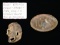 PAIR OF CIVIL WAR BATTLEFIELD BULLET STRUCK