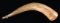 EARLY AMERICAN CARVED POWDER HORN BELONGING TO