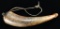 CARVED AMERICAN POWDER HORN BELONGING TO GASPAR
